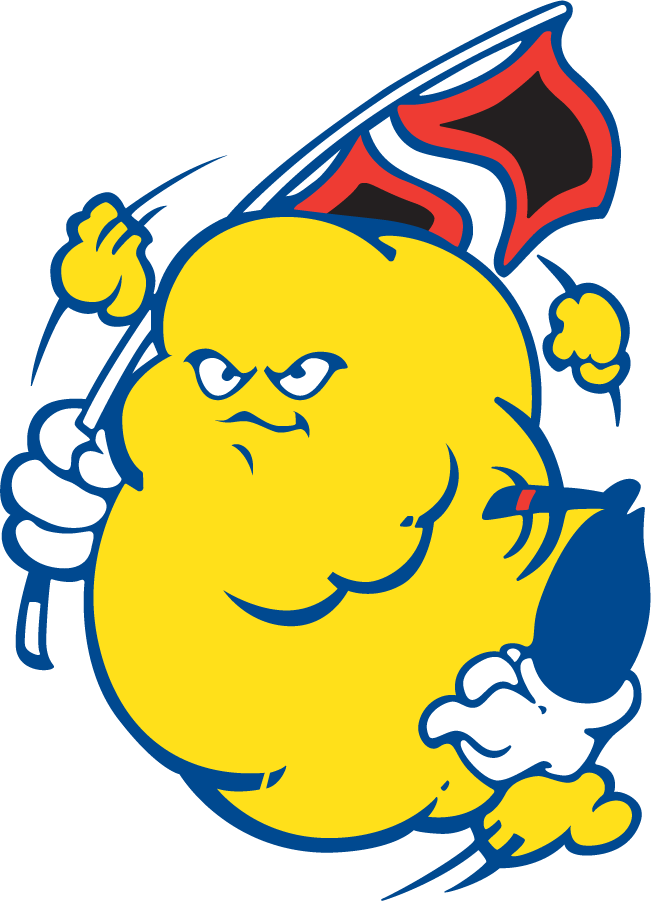 Tulsa Golden Hurricane 1980-1987 Mascot Logo DIY iron on transfer (heat transfer)
